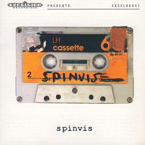 SPINVIS