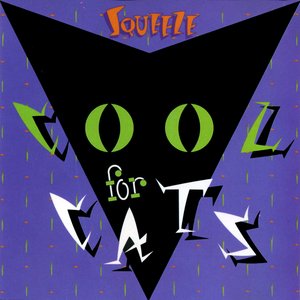 COOL FOR CATS