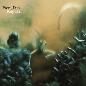 KATY LIED