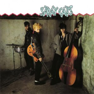 STRAY CATS