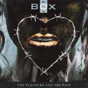 THE PLEASURE AND THE PAIN
