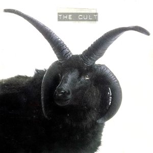THE CULT