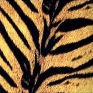 TIGERMOBILE