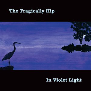 IN VIOLET LIGHT