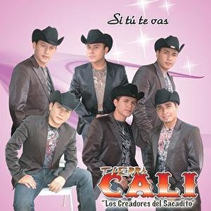 SI TU TE VAS