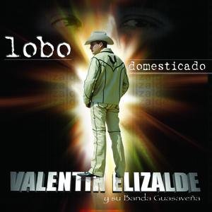 LOBO DOMESTICADO