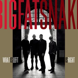 WHAT IS LEFT IS RIGHT
