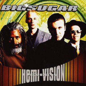 HEMI-VISION