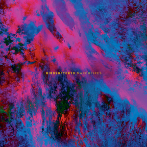 MARCH FIRES