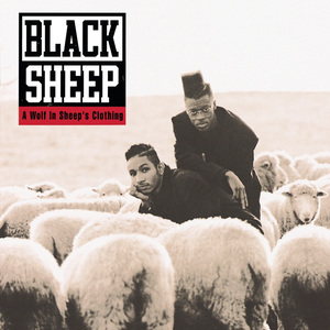A WOLF IN SHEEP'S CLOTHING