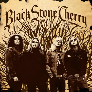 BLACK STONE CHERRY