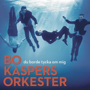 DU BORDE TYCKA OM MIG