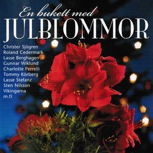 EN BUKETT MED JULBLOMMOR