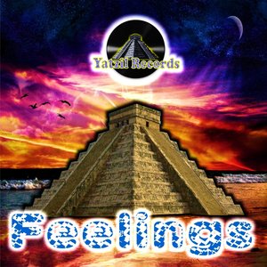 FEELINGS