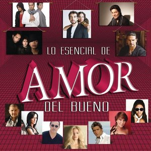 LO ESENCIAL DE AMOR DEL BUENO