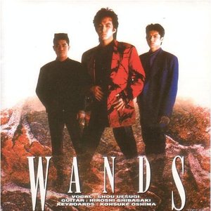 WANDS