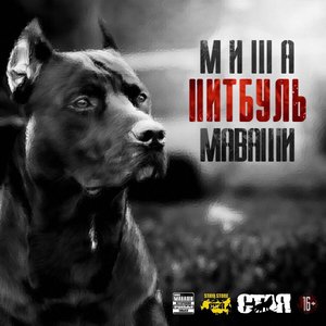 ПИТБУЛЬ