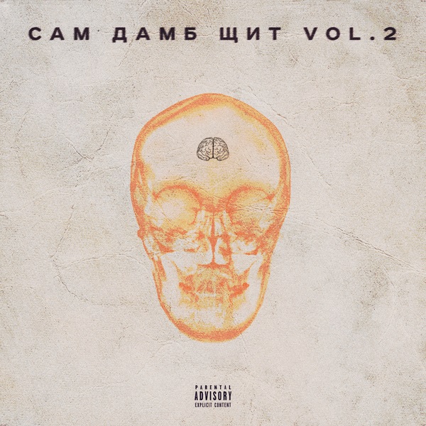 САМ ДАМБ ЩИТ (VOLUME 2)
