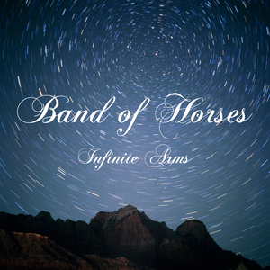 INFINITE ARMS