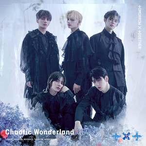 CHAOTIC WONDERLAND