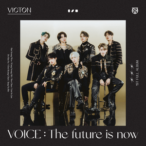 VOICE: THE FUTURE IS NOW