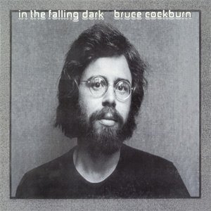 IN THE FALLING DARK