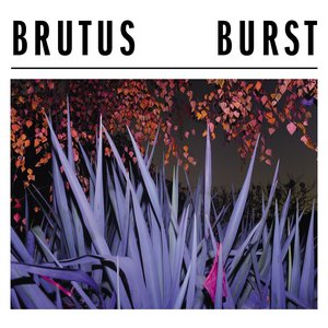 BURST