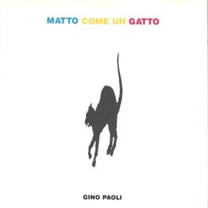 MATTO COME UN GATTO