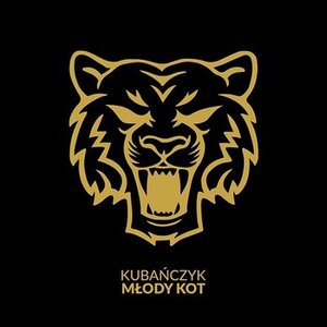 MŁODY KOT