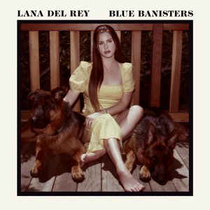 BLUE BANISTERS