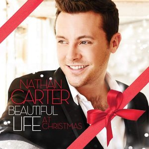 BEAUTIFUL LIFE AT CHRISTMAS