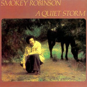 A QUIET STORM