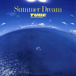 SUMMER DREAM
