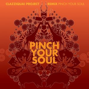 PINCH YOUR SOUL