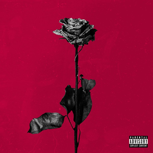 DEADROSES