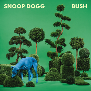 Bush