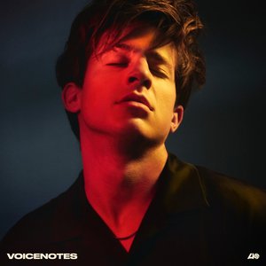 VOICENOTES