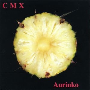 AURINKO